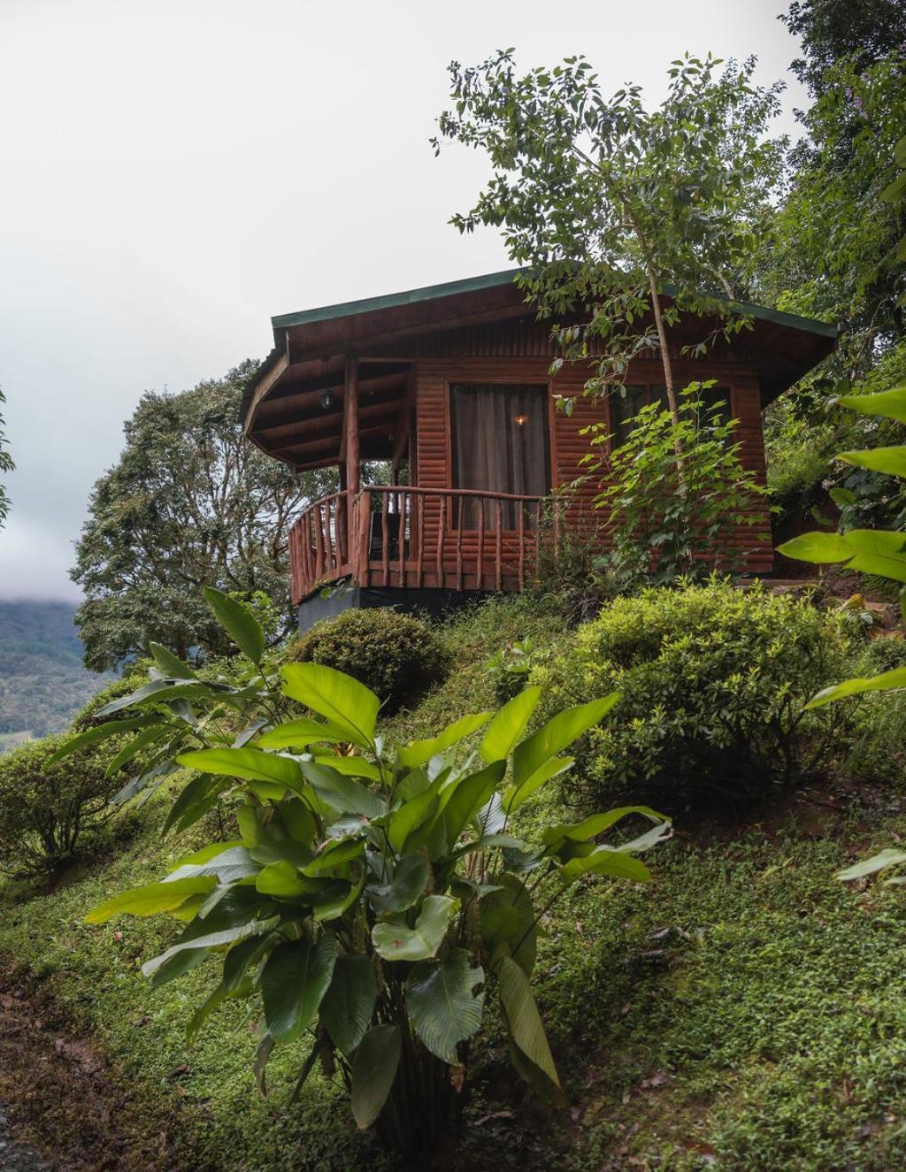 Cedrela Eco-Lodge & Restaurante Copey Zewnętrze zdjęcie